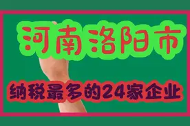 河南洛阳市纳税最多的24家企业视频封面