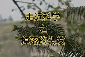 走近科学之掉落的头发视频封面