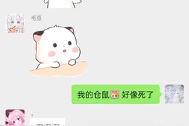谁有救活小仓鼠的办法被我压的视频封面