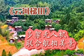 祖国山河美如画，浙江丽水云河梯田美拍（无人机加手机拍摄）视频封面