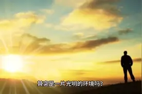 没有硝烟的战争？无稽之谈——明白事物的人和事