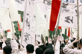 “花已盛开，燕已归来，这盛世正如您所愿”视频封面
