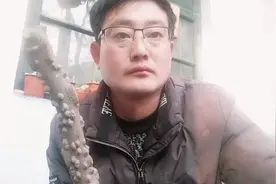 花椒木打磨抛光，花椒木拐棍