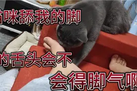 猫咪舔我的脚脚，它的舌头会不会得脚气啊