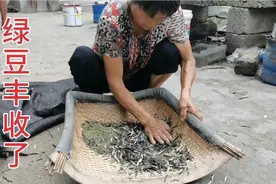 婆婆种的绿豆丰收了，这样去皮5分钟去一盆，方法虽土却很实用视频封面