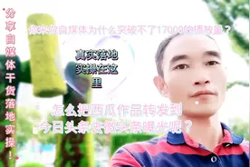新人来做自媒体一招教你把作品转发到微头条二次曝光获得更多收益视频封面