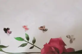 说好不会在为谁突，可我还是没忍住，记好忘掉你的全部……视频封面