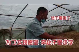 50岁农民工大哥放弃工作，远赴千里求赚钱方法，只为实现心中所愿视频封面
