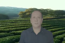 抖音同城和垂直你真的知道吗？视频封面