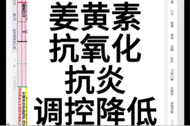 饮食营养计算表格:姜黄素抗氧化抗炎调控血糖血脂等作用视频封面