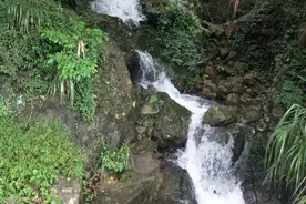 惠州有100多斤大蟒蛇出没，偷吃村民几十只鸡#三农 #蛇视频封面