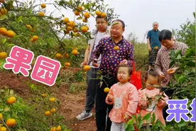 闲暇时间，带着三个娃去果园自己动手采摘，享受亲子时光！视频封面