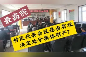 村民大会才能有权制定《村民自治章程》，处分集体财产！视频封面
