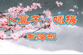 经典诵读《卜算子•咏梅》毛泽东：待到山花烂漫时，她在丛中笑！视频封面