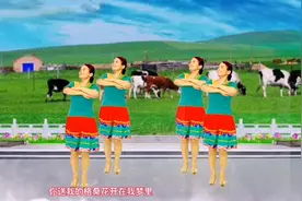 草原风广场舞《我还在草原等你》天籁情歌悠扬，欢快活泼舞蹈视频封面