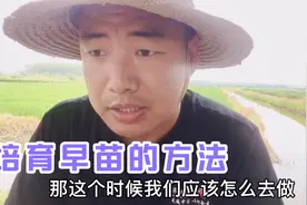 自己留种虾培育虾苗，来年想赚钱，每亩产800斤虾苗才是关键视频封面