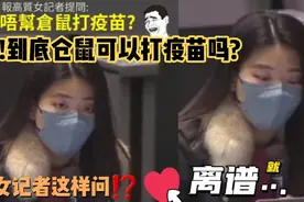 突发!到底仓鼠可以打疫苗吗?香港女记者这样问?视频封面