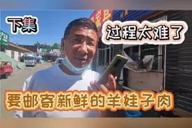 外省想要吃到新鲜的新疆羊娃子肉，邮寄过程太难了视频封面