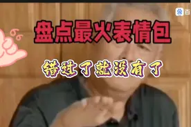 盘点最火表情包视频封面