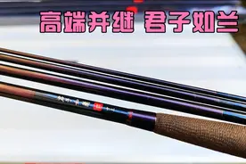 并继竿都有哪些优势？为何它能吊打振出竿，占据鱼竿高端市场？视频封面