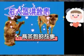 狗狗的情爱故事，滋润着人们的心田视频封面