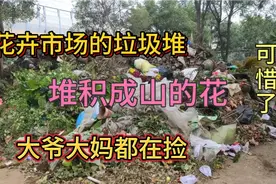 花市扔掉的花堆积如山，仅有点叶片损伤的花成车成车的倒，可惜啊