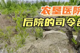 海拉尔河西今陵园街，农垦医院后院的二楼，居然是日军司令部