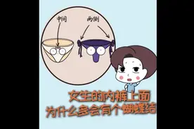 女生内裤上为什么都有蝴蝶结。增加点好奇并且奇怪的知识。视频封面