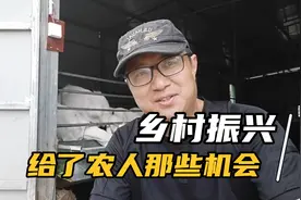 乡村振兴五大核心内容，只有两个有金钱的味道，其他都是辅助视频封面