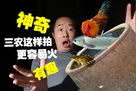 三农怎么拍更容易火，选对这5个热门话题，小白也能迅速上热门视频封面