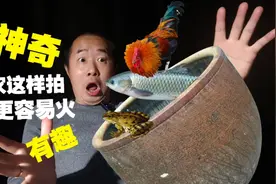 三农怎么拍更容易火，选对这5个热门话题，小白也能迅速上热门
