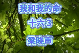 梁晓声长篇小说《我和我的命》第六章第三节视频封面