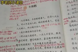 四年级语文上18课《牛和鹅》课文讲解视频封面