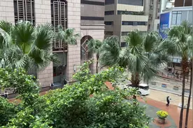 香港中旅社拿回乡证，听说现在排到八月了😂视频封面