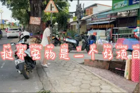 买只宠物狗好难！又贵，品种又不好！开个宠物养殖基地真不错！视频封面