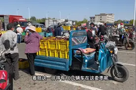 宁夏灵武长枣交易市场，大枣在这里真便宜，看看你买贵了吗？