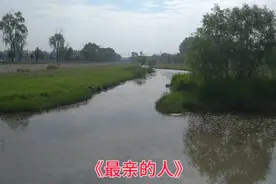 《最亲的人》岳云鹏春晚最火的歌曲，非常接地气，欢快喜庆！