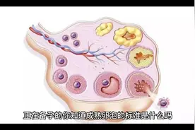 正在备孕的你知道成熟卵泡的标准是什么吗？视频封面