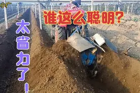 葡萄埋藤新机器，省时省力还省钱！这是谁这么聪明发明的？视频封面