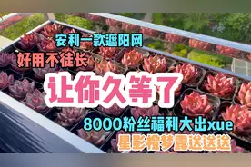 夏季多肉就用它，否则暴晒一天就黑腐，8000粉丝福利开启，快来呀视频封面