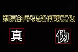 新买的苹果手机如何自己检验是不是正品原封国行货！方法很简单视频封面