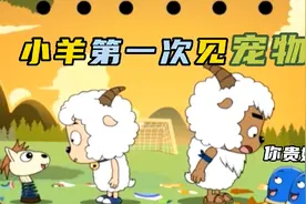 喜灰：小羊们的宠物首次登场，就因为太吵被赶出了家门视频封面