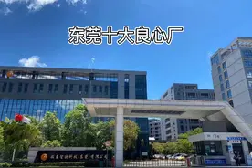 东莞十大神厂，第六名横沥领益智造，你们进过吗？