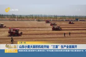 【三夏一线】山东小麦大面积机收开始 “三夏”生产全面展开视频封面