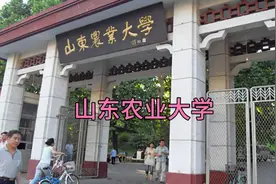 山东高考多少分可以上山东农业大学视频封面