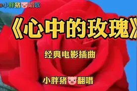经典电影金曲《心中的玫瑰》作为一个时代的音符在千万人心中回响视频封面