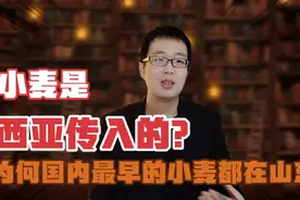 武大郎的炊饼到底是啥？为何国内最早的小麦遗存都在山东？视频封面