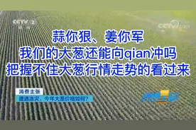 蒜你狠，姜你军，大葱还能向前冲吗？视频封面