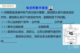 生物七下心脏培优题：体循环与肺循环，错综复杂的血管网络图视频封面