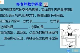 生物七下心脏培优题：体循环与肺循环，错综复杂的血管网络图视频封面